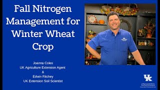 Fall Nitrogen Management for Winter Wheat Crop