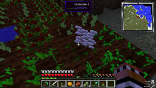 СВИНЬЯ ОСЕДЛАЛА ЛАГГЕРА! #16 [ПЛЯЖНЫЕ ПРИКЛЮЧЕНИЯ] - Minecraft