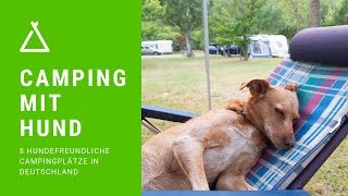 Camping mit Hund – 8 hundefreundliche Campingplätze in Deutschland