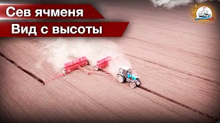 С высоты: сев ячменя и его прикатывание на МТЗ-1221/82.