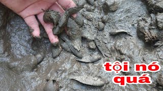 ĐI LƯỢM CÁ CHẾT CẠN VÀO MÙA KHÔ Ở MIỀN TÂY | nhìn tội quá| stranded fish