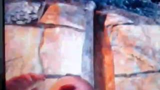 Far Cry 3 , секс с Цитрой (плохая концовка ) :-(