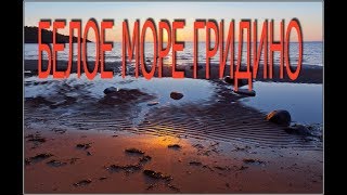 Белое море Гридино ч.1