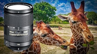 BEST Kit Lens Upgrade for Zoo and Landscape Photography?