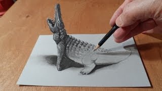 How to Draw Crocodile - Drawing 3D Crocodile - 3D Trick Art - By Vamos
