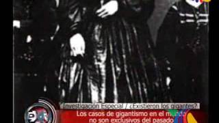 ¿Existieron los Gigantes?