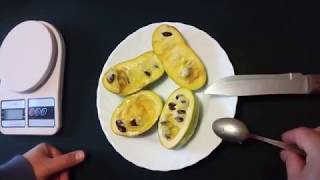 Вкус плодов "северного банана"  - азимины сортов Wells и Sunflower, выращенных в контейнерах.