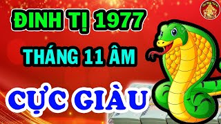 Đinh Tị 1977 Gánh Lộc Về Nhà Tiền Về Nứt Két Tháng 11 Âm Lịch