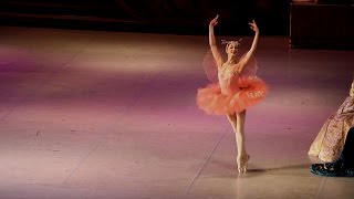 Юлия Звягина "Спящая красавица" Фея  Смелости