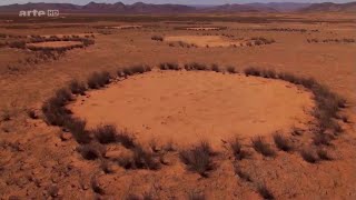 Les mystérieux cercles du désert du Namib (cercles de fées)