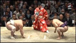 Январский турнир по Сумо 2016, 13-15 дни: Хатсу Басё (Токио) / Hatsu Basho (Tokyo)