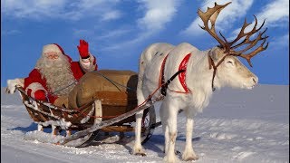 Papá Noel: los mejores viajes en reno de Santa Claus Laponia Finlandia video Rovaniemi