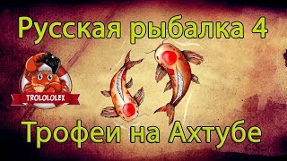 русская рыбалка 4. Трофеи на Ахтубе