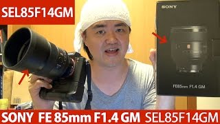 SONY FE 85mm F1.4 GM 単焦点レンズの本命、ソニーEマウント G MASTER レンズ SEL85F14GM 逆光、AF速度、ペット撮影など