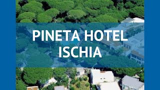 PINETA HOTEL ISCHIA 3* Италия Искья обзор – отель ПИНЕТА ХОТЕЛ ИСКЬЯ 3* Искья видео обзор