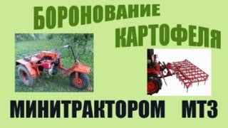 Боронование картофеля.21.05.2015г.