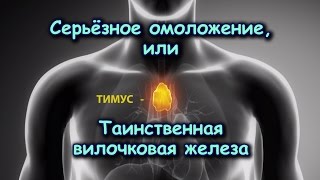 СЕРЬЁЗНОЕ ОМОЛОЖЕНИЕ, или Таинственная вилочковая железа