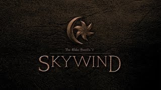 SkyWind первый запуск  [v.0.9]