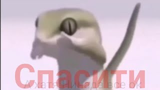 Ящерица может флексить под всё! Витас 7 Эллемент