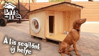 Kutyaház építés újrahasznosított anyagokból | Green Cottage DIY