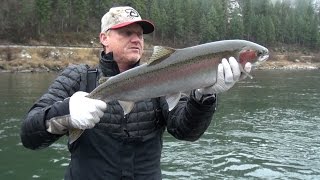 Clearwater River, Idaho Steelhead Fishing. Side drifting & back trolling.