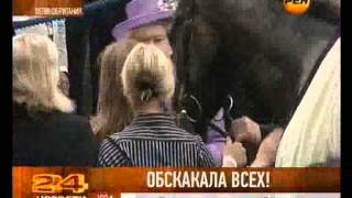 Обскакала всех!