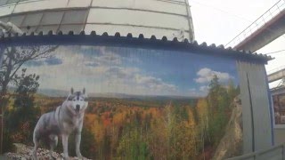 Любой рисунок на вашем заборе. Профнастил с цветным изображением. Фотомонтаж на профнастиле.