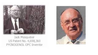 Grape Seed and Pine Bark Extract are not the Same as Real OPC Proanthenols