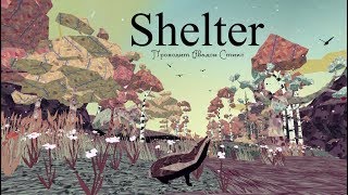 Shelter (Давайте поглядим!)