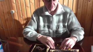 Разведение пчёл Китайский шпатель