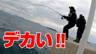 真冬の堤防からルアーで大物爆釣編【後編】