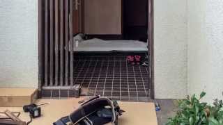 川崎市高津区 WA様邸 玄関ドアリフォーム（リシェント）