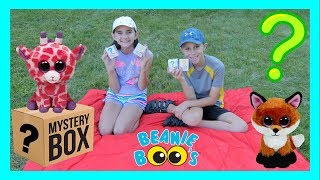 OPENING TY BEANIE BOO MINI BOOS BLIND MYSTERY BOXES AT THE PARK