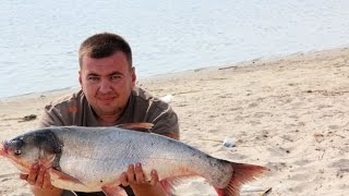 Рыбалка и отдых на реке Дон(Дневник рыболова)