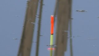 Боковой кивок против поплавка и как снимаю подводное видео.My fishing