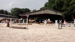 haras de st leu