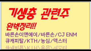 기생충 관련주 완벽정리_바른손이앤에이 바른손 CJ ENM 덱스터 큐캐피탈 농심 컴퍼니케이 KTH 블러썸엠앤씨 등_오현진팀장