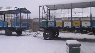 Зимовка пчел  Зимовка пасеки на прицепах