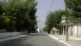 ΚΕΔΡΟΣ-ΚΑΡΔΙΤΣΑΣ