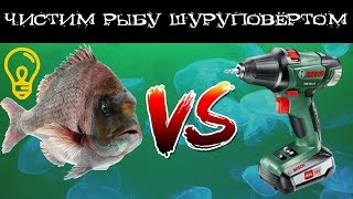 Как почистить рыбу шуруповертом. Окунь и плотва. Лайфхак :)