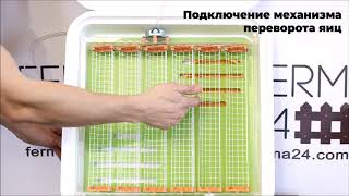 Рябушка 42 автоматический  Обзор