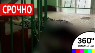 Убийство женщины-инвалида в Балашихе: убийца заперся в квартире, его взяли штурмом
