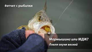 Мормышинг или микроджиг? Ловля окуня весной