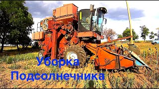Уборка подсолнуха самодельным комбайном!
