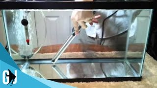 How to Calibrate an Eheim Jager Aquarium Heater