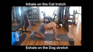 Lower Back Exercises and Stretches - Prevent Low Back Pain and Hip Pain Part 1/5