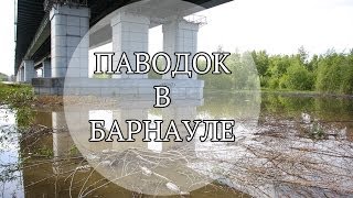 Паводок в Барнауле.Уровень воды в посёлке «Затон» достиг критической отметки в 540 см