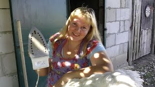 Утюжу гуся(ощипываю перо).Ironing goose (plucked feathers).