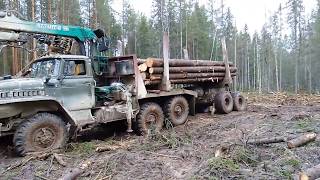 Урал лесовоз За лесом по болоту день 2