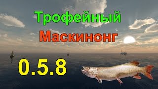 Fishing Planet 0.5.8 | Мичиган | Трофейная щука маскинонг на шайнер , новое отличное место